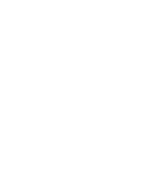 Immaculate Transportation Logo