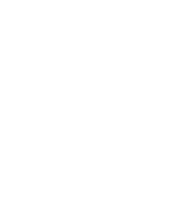 Immaculate Transportation